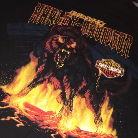 Harley Davidson lot - Picture 4 of 8